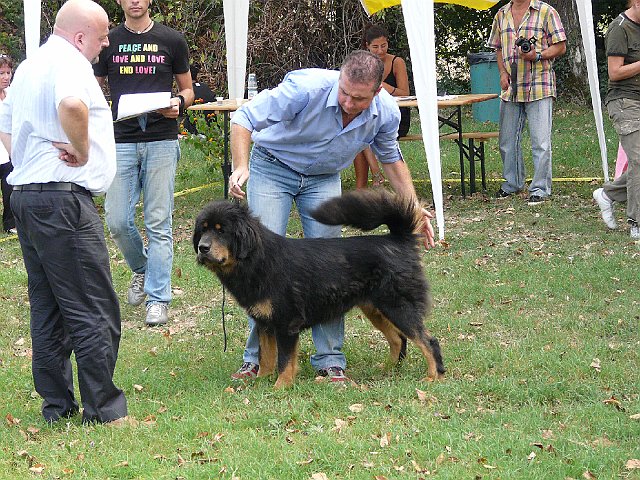 img 135.jpg